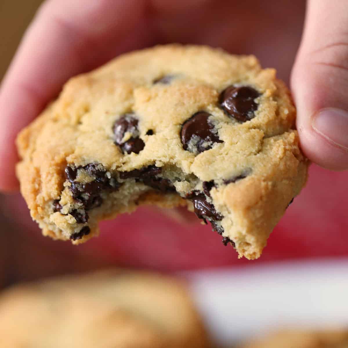 A hand is holding an almond flour chocolate chip cookie.
