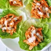 Buffalo chicken lettuce wraps are served on a white plate.