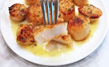 A fork holding a cut scallop to show it's opaque on the inside.