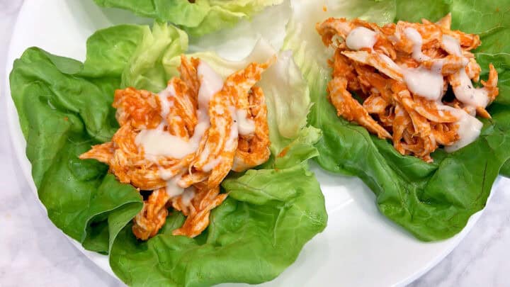 The wraps are served on a white plate.