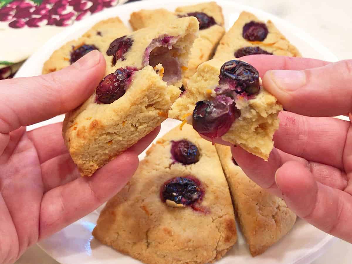 Breaking a scone, showing off its tender crumb.