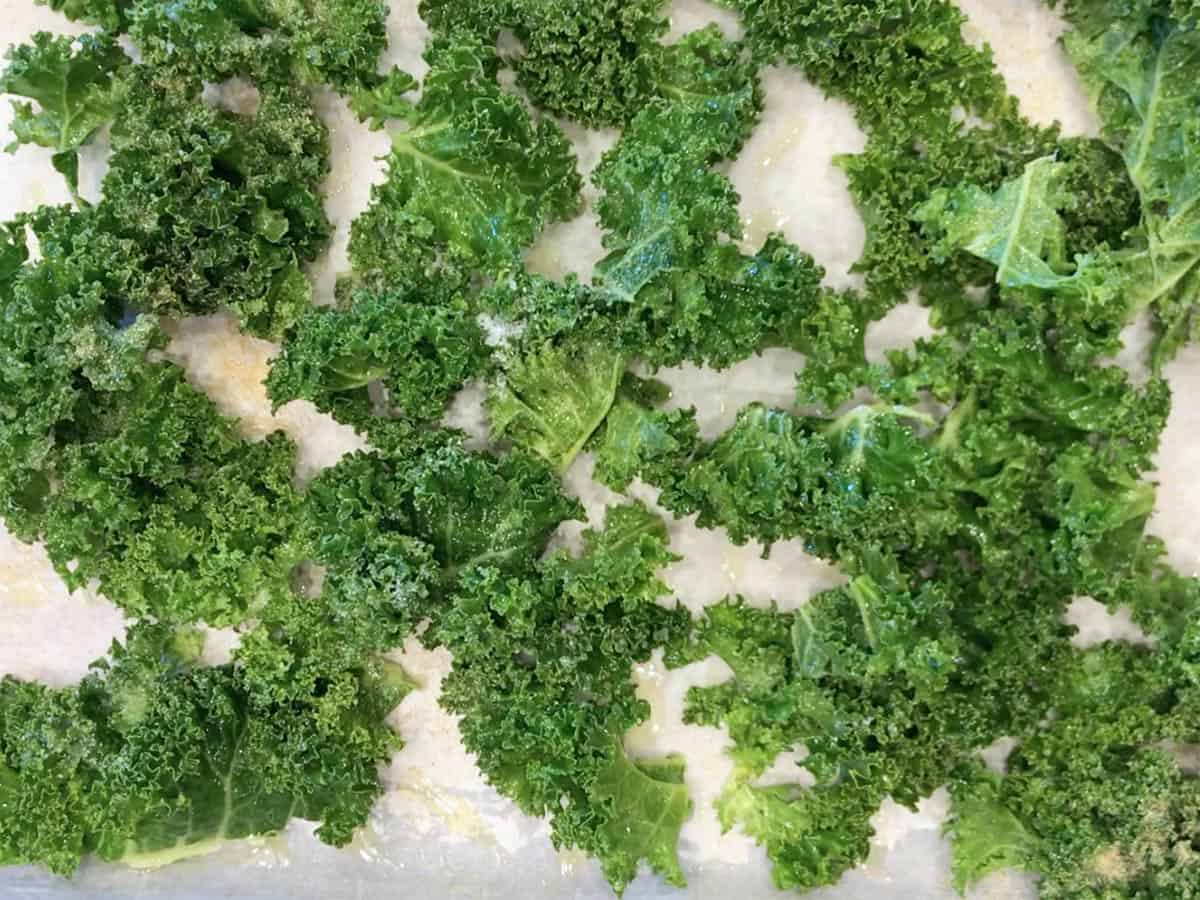 The kale leaves were coated in oil.