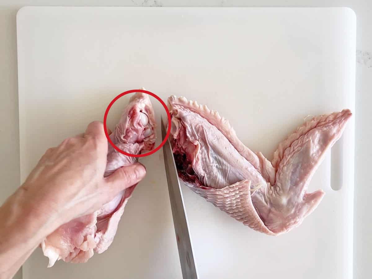 A red circle showing that the cartilage was cut, not the bone.