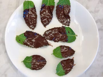 Resting the leaves to allow the chocolate to set.