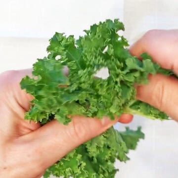 Tearing the kale leaves.