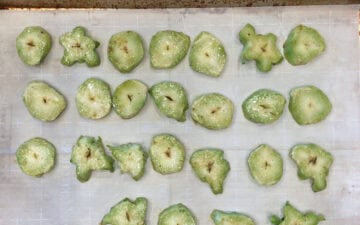 The stalk slices were arranged on a pan.