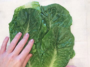 Layering lettuce leaves on parchment.
