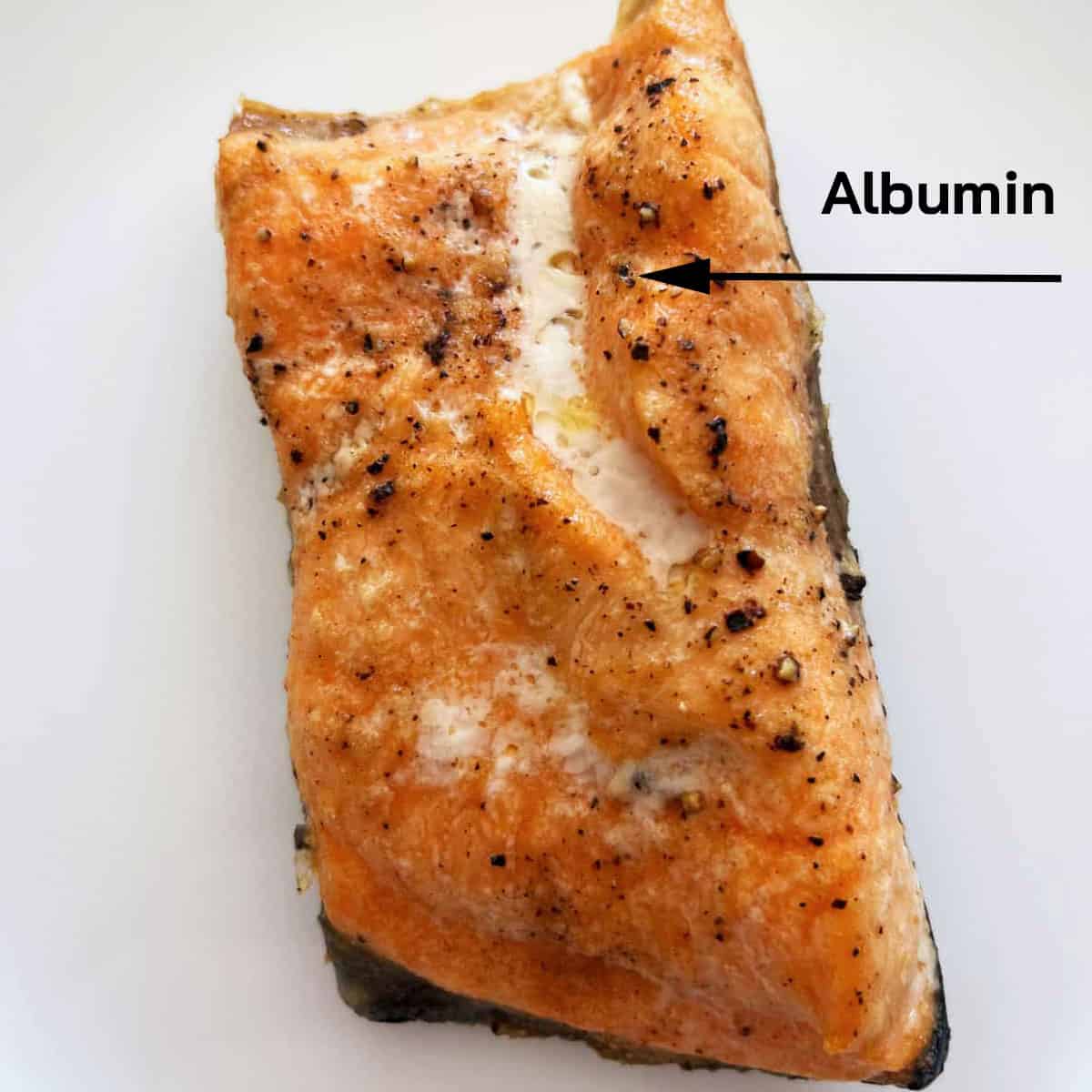 Baked salmon fillet with patches of albumin.