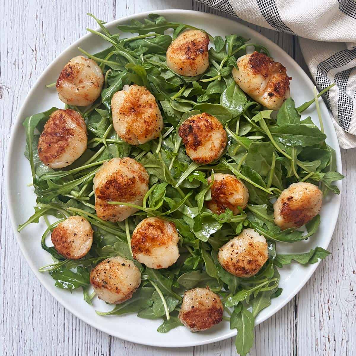 Grilled scallops are served on a bed of arugula.