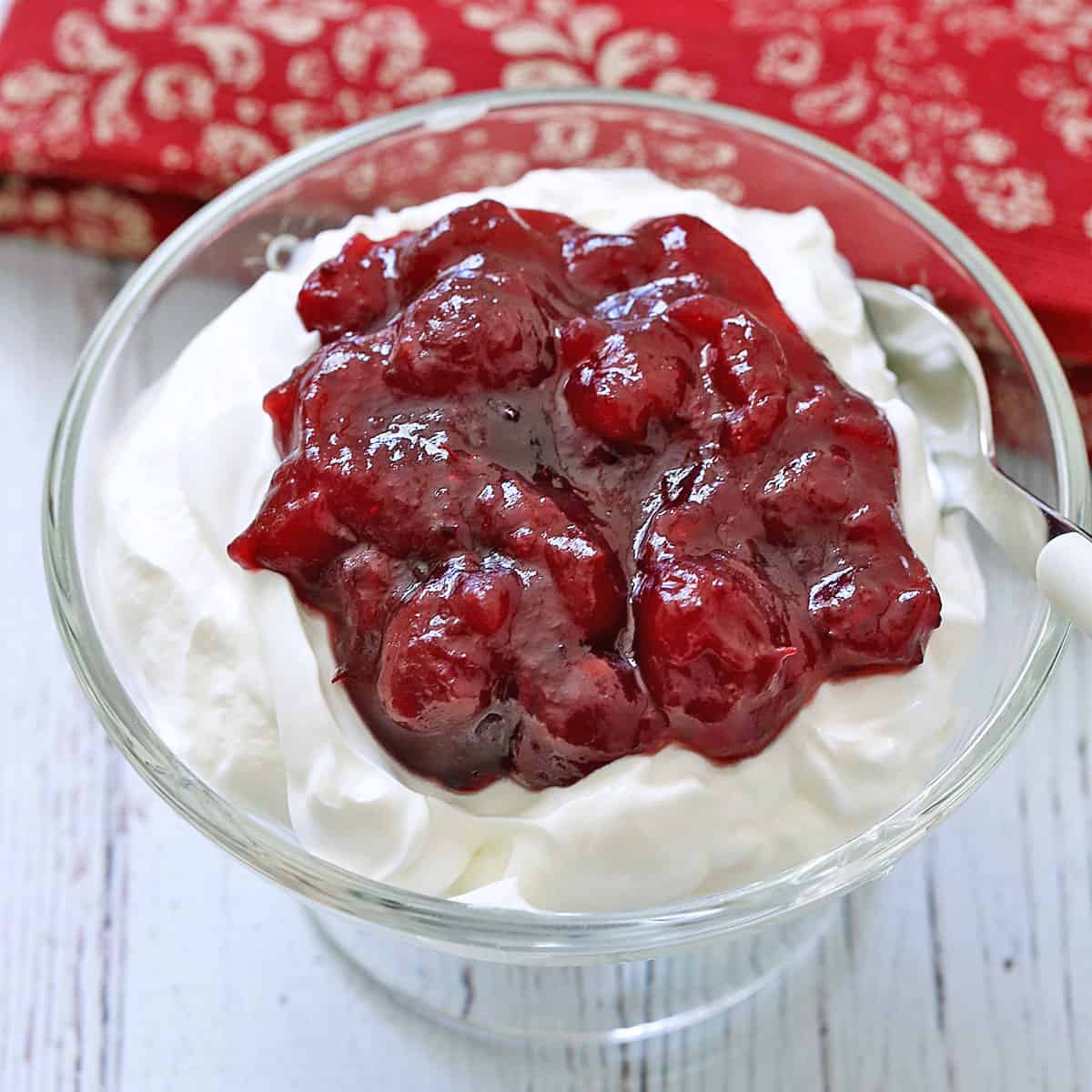 Cranberry sauce is served on top of Greek yogurt.