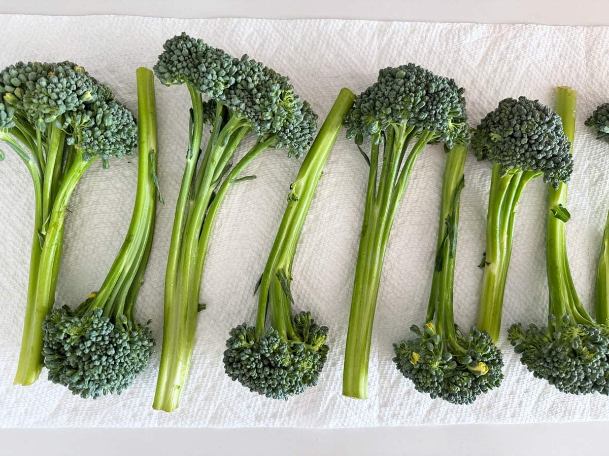 Drying broccolini on paper towels.